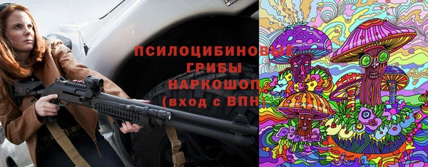 apvp Арсеньев