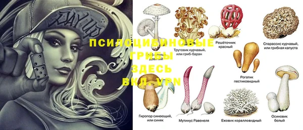 apvp Арсеньев