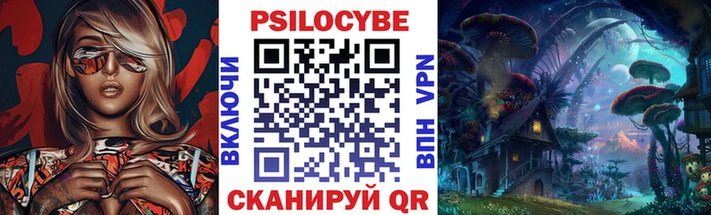 Псилоцибиновые грибы Psilocybe  Урус-Мартан 